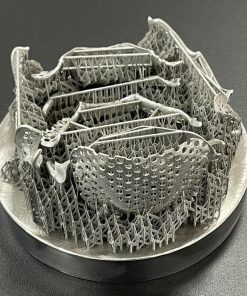 Hàm khung kim loại in 3D Co-Cr